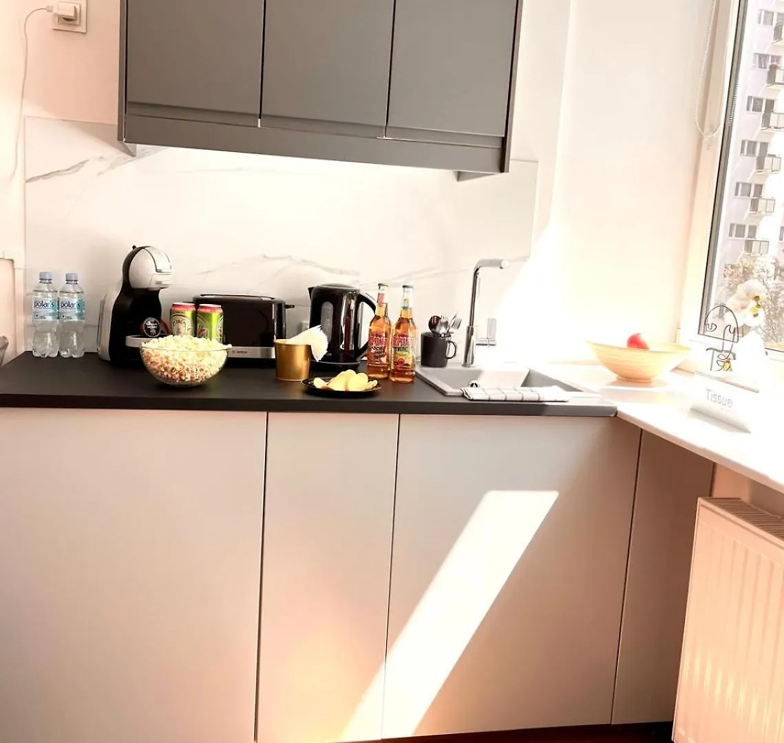 Special 1 Bed Room Condo Warszawa Center Apartment Warsaw